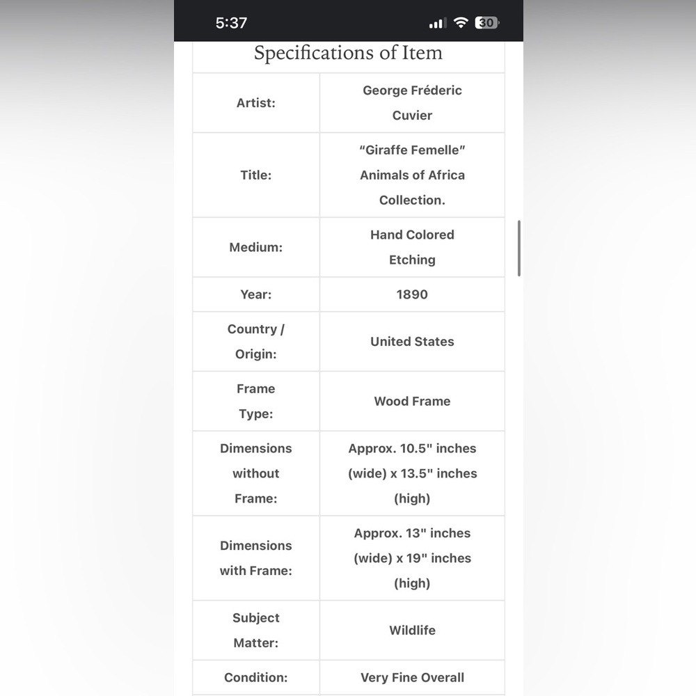 Giraffe painting by Georges-Frédéric Cuvier